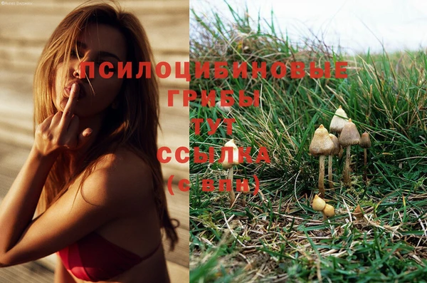индика Алексеевка