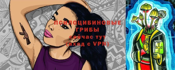 индика Алексеевка
