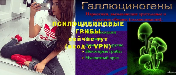 индика Алексеевка