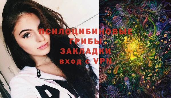 мяу мяу мука Абдулино