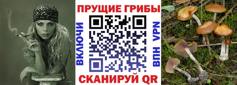 Псилоцибиновые грибы мухоморы  Казань 