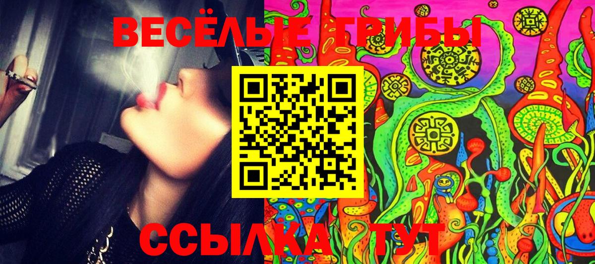 Галлюциногенные грибы Казань