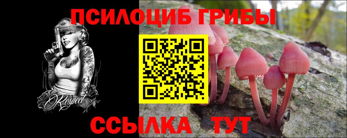 Казань  где можно купить   Вход с VPN  Псилоцибиновые грибы Magic Shrooms 